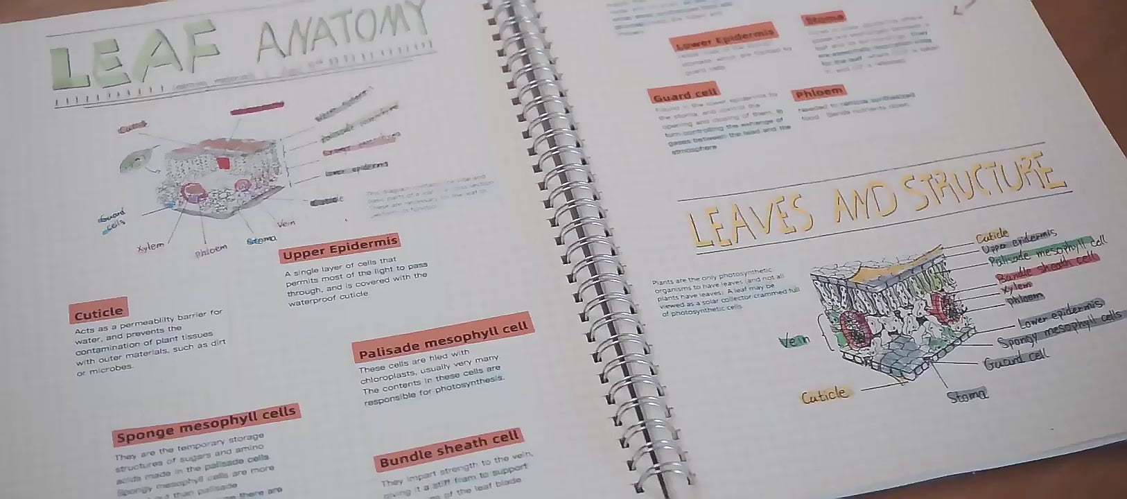 Study notes that actually stick.